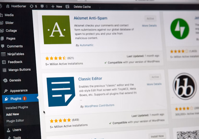 WordPress Install